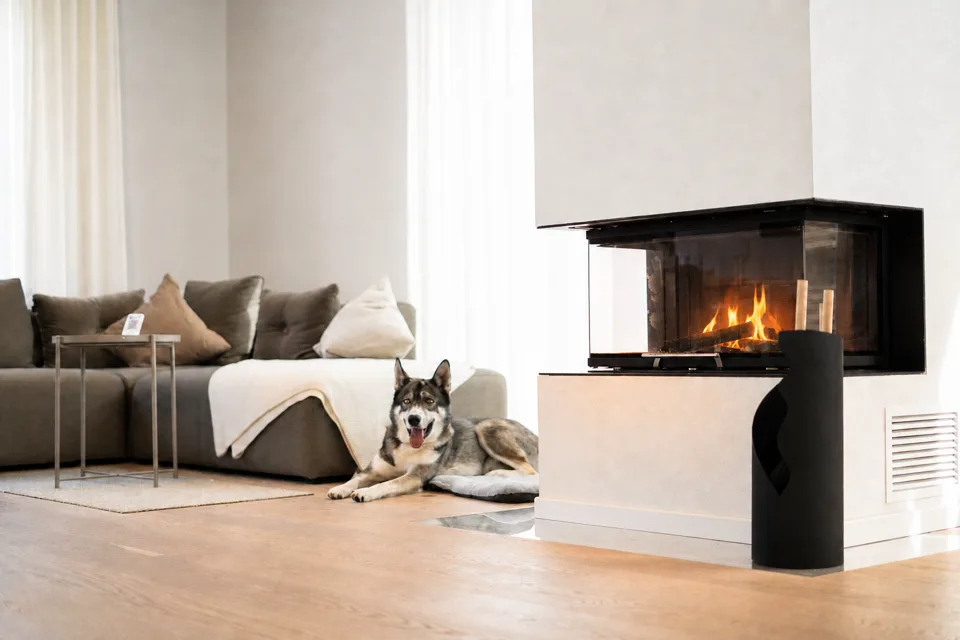 Hund entspannt neben dem brennenden Kamin im Wohnzimmer des Ferienhauses Lee