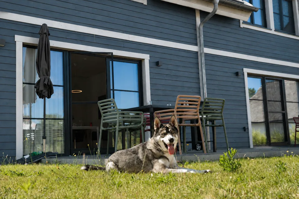 Hund auf der Wiese vor der Terrasse des Ferienhauses Lee