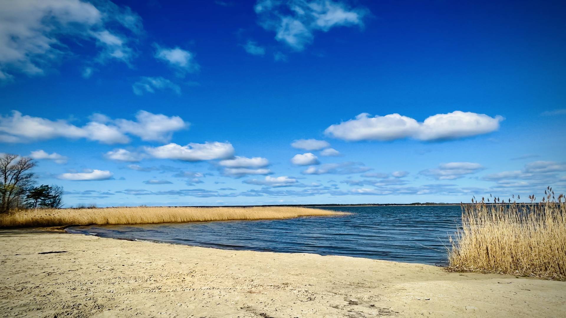 Strand und Boddenlandschaft in der Umgebung von Fuhlendorf